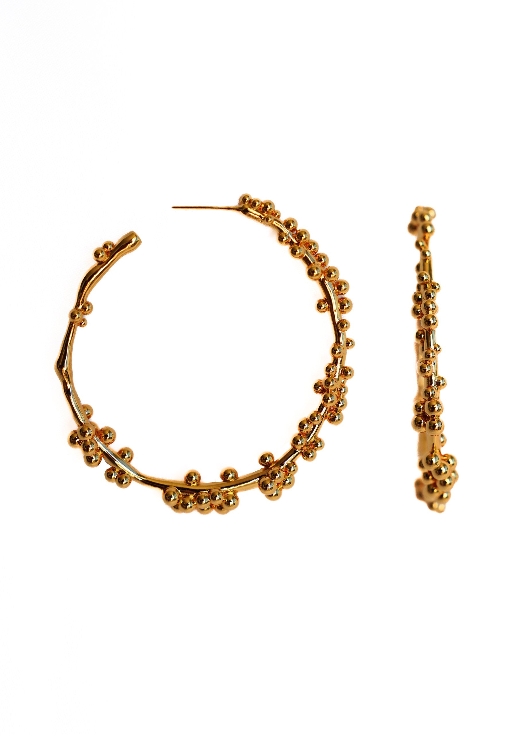 Branchia Hoops